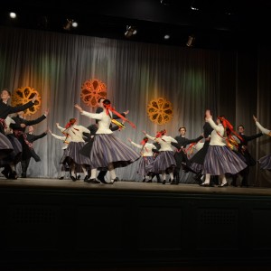 Deju lieluzveduma “Māras zeme” repertuāra pārbaudes skates rezultāti Ogres apriņķis