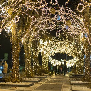 30. novembrī Ogrē sirsnīgā gaisotnē tika aizvadīta Pirmā advente