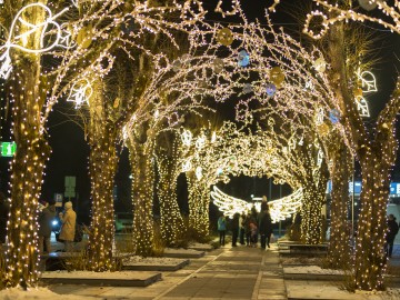 30. novembrī Ogrē sirsnīgā gaisotnē tika aizvadīta Pirmā advente